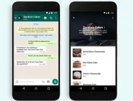 ChatKnow 用户真实体验分享