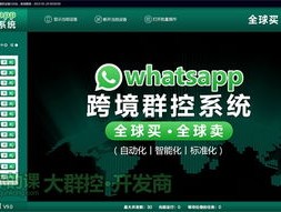 WhatsApp 消息成功率提升